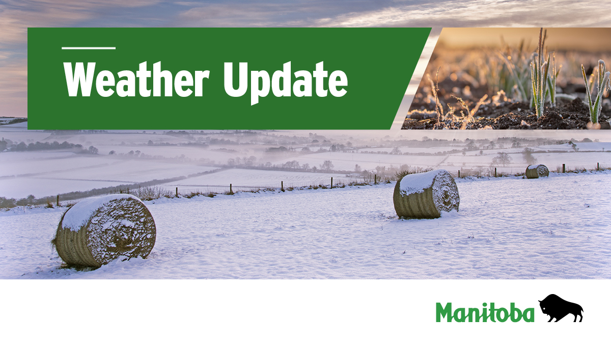 Manitoba Agriculture tweet media