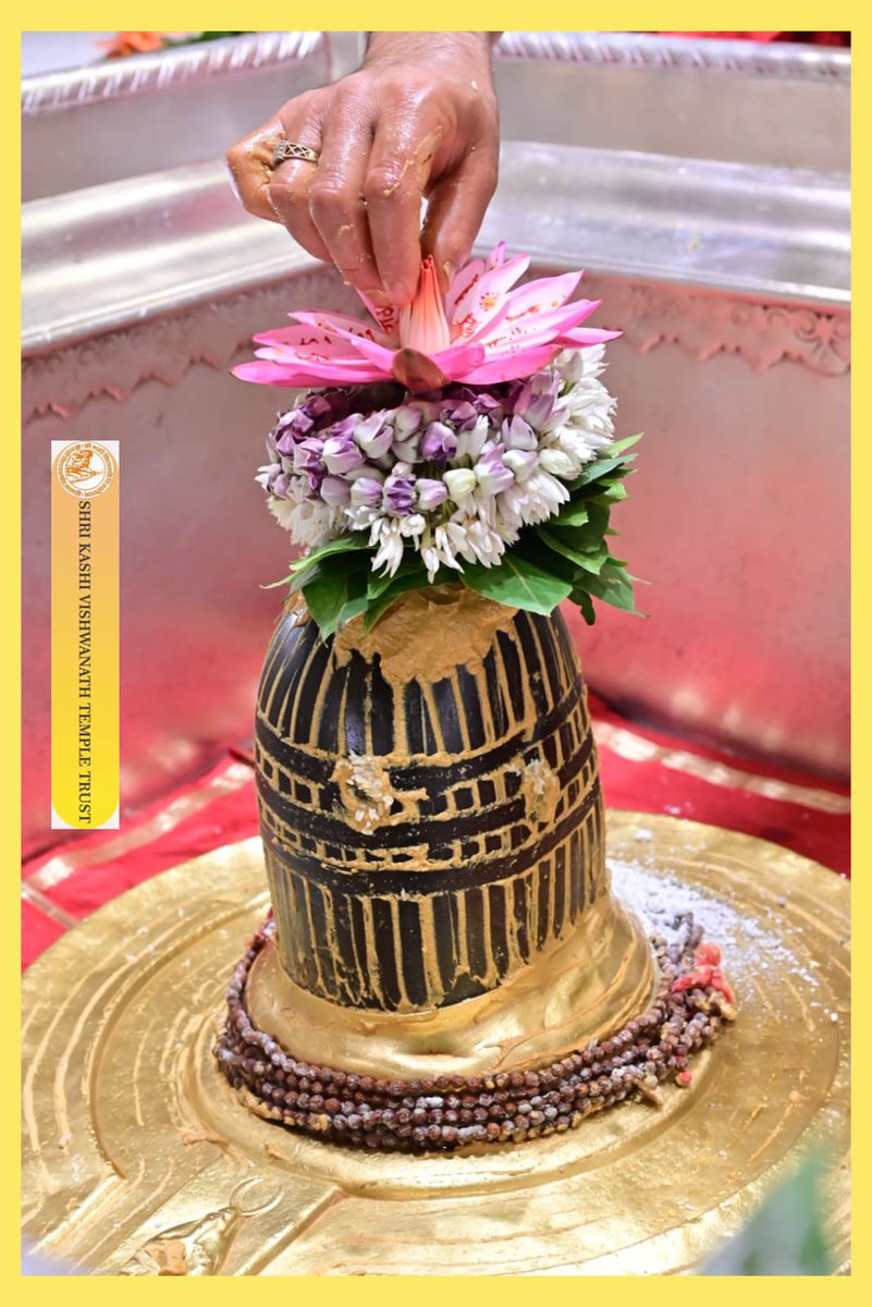 ShriVishwanath's tweet photo. श्री काशी विश्वनाथ जी की श्रृंगार आरती I
#kashivishwanath #kashi #sanatandharma #banaras https://t.co/IZrOWkxwIm