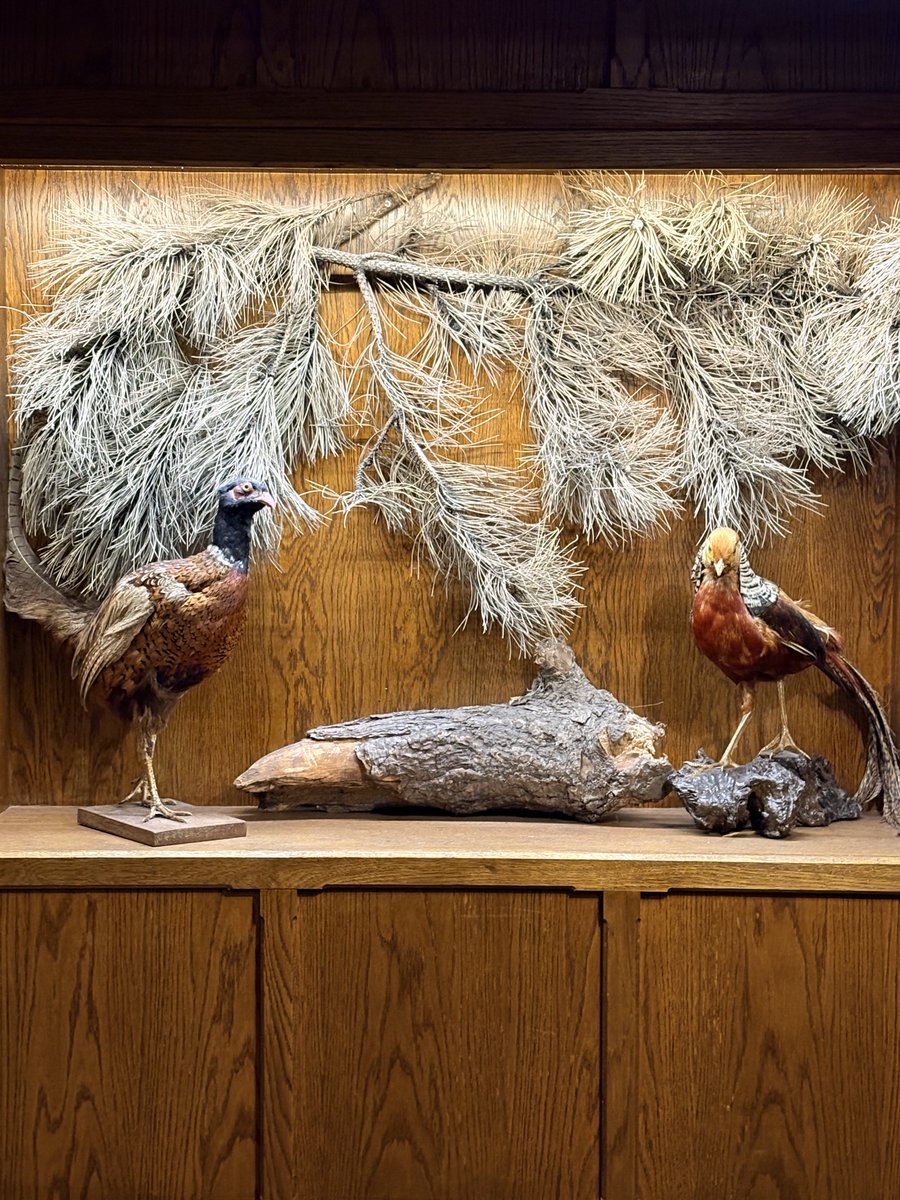 Paul Reihill tweet media