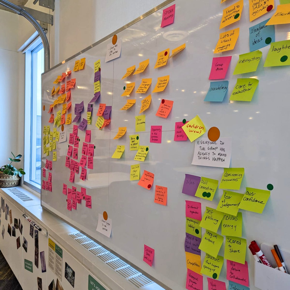 Action Lab tweet media