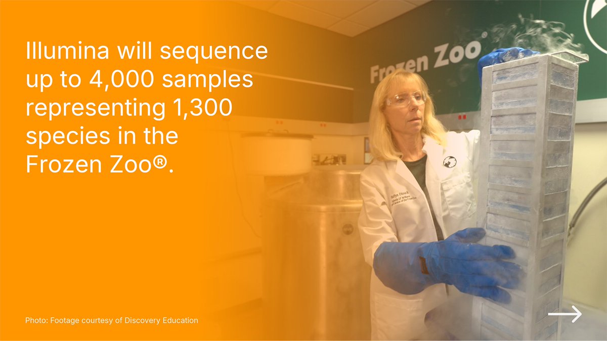 illumina's tweet photo. We’re teaming up with the @sandiegozoo to investigate fifty years of preserved biodiversity from up to 4,000 samples in the legendary Frozen Zoo® — a living archive of threatened and endangered species (1/2) https://t.co/VqCmvmHFot