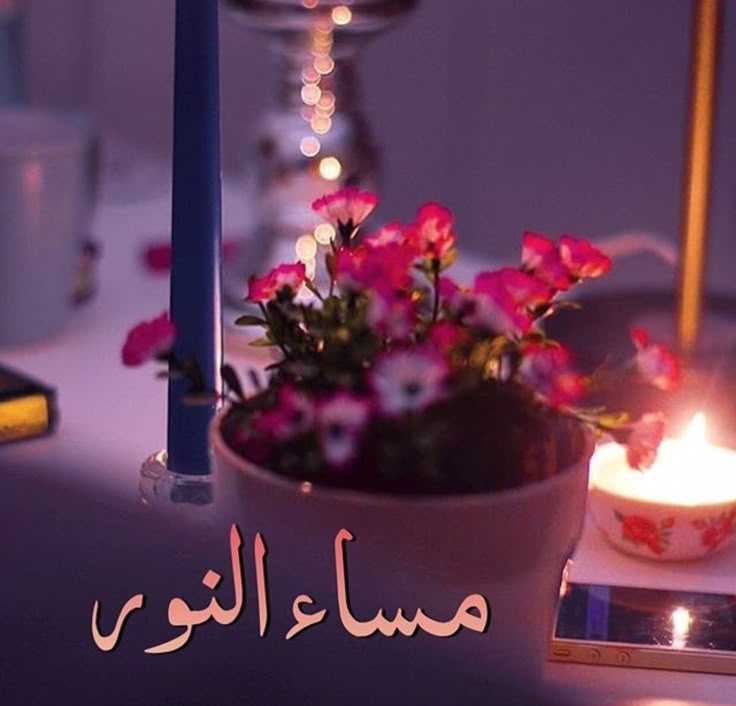 Redrose2000A's tweet photo. @O8NNgebfDFBCgvz تذكر أن الله لا ينسى من لجأ إليه بقلب صادق. امنح قلبك سكينة واملأه بالثقة بأن غدًا يحمل معه رحمة جديدة وأملًا يتجدد. نم وأنت تعلم أن الله معك دائمًا.'' https://t.co/0BxiWhDUEu
