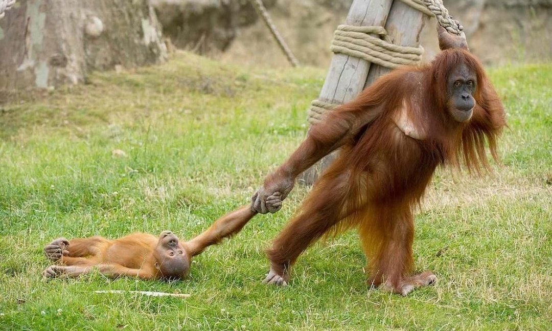 - PERO PORKE HAY QUE I AR COLE MADRE??
- VENGA NIÑO QUE SOMO DE ALMERIA