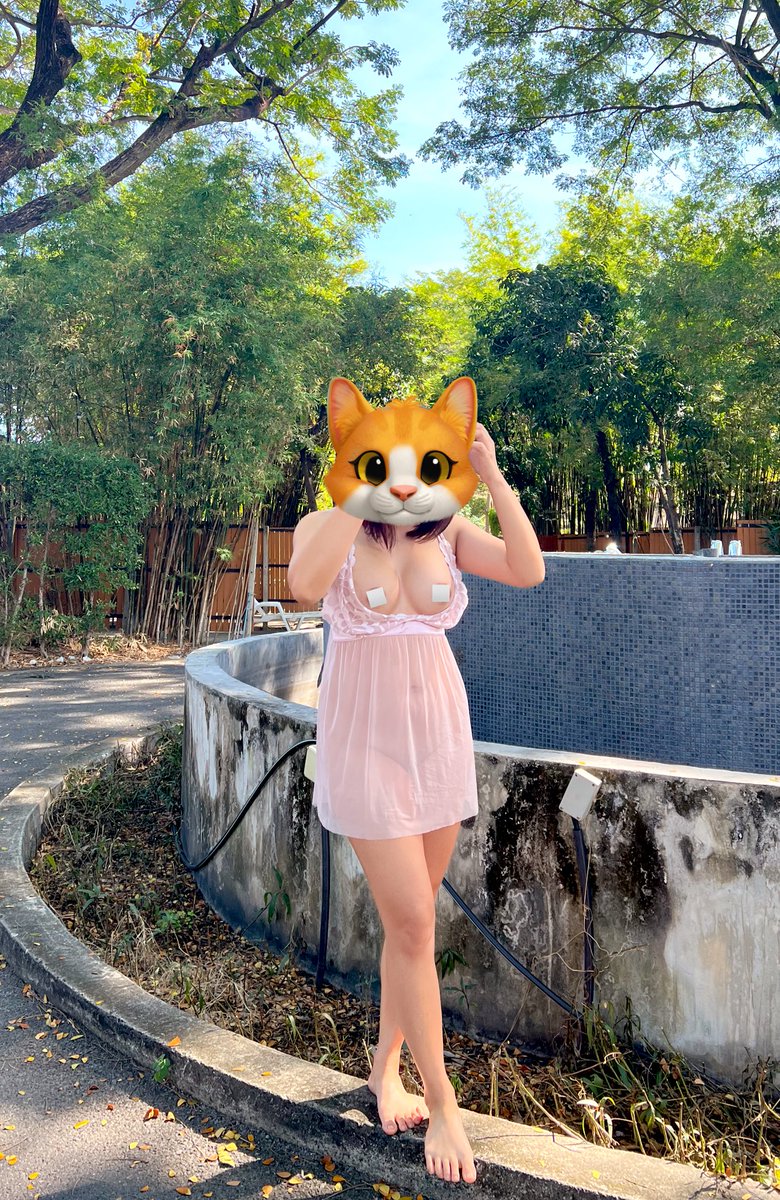 M E E 🪼 tweet media