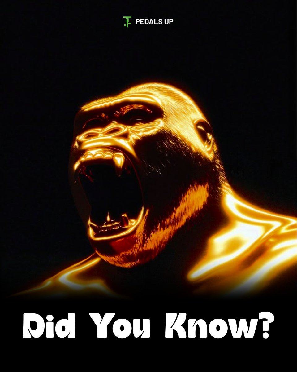 Pedals Up tweet media