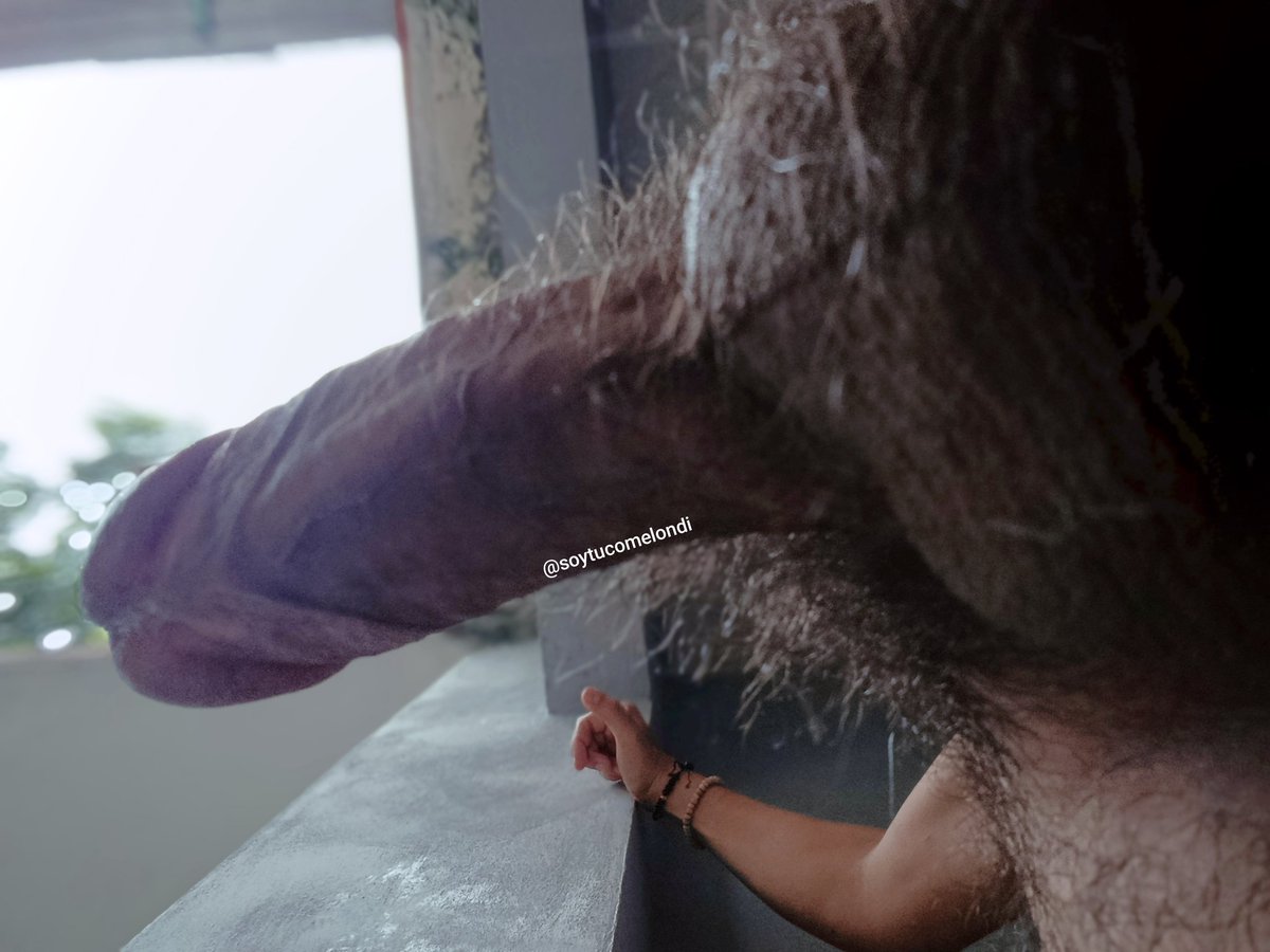 D de Jesús tweet media