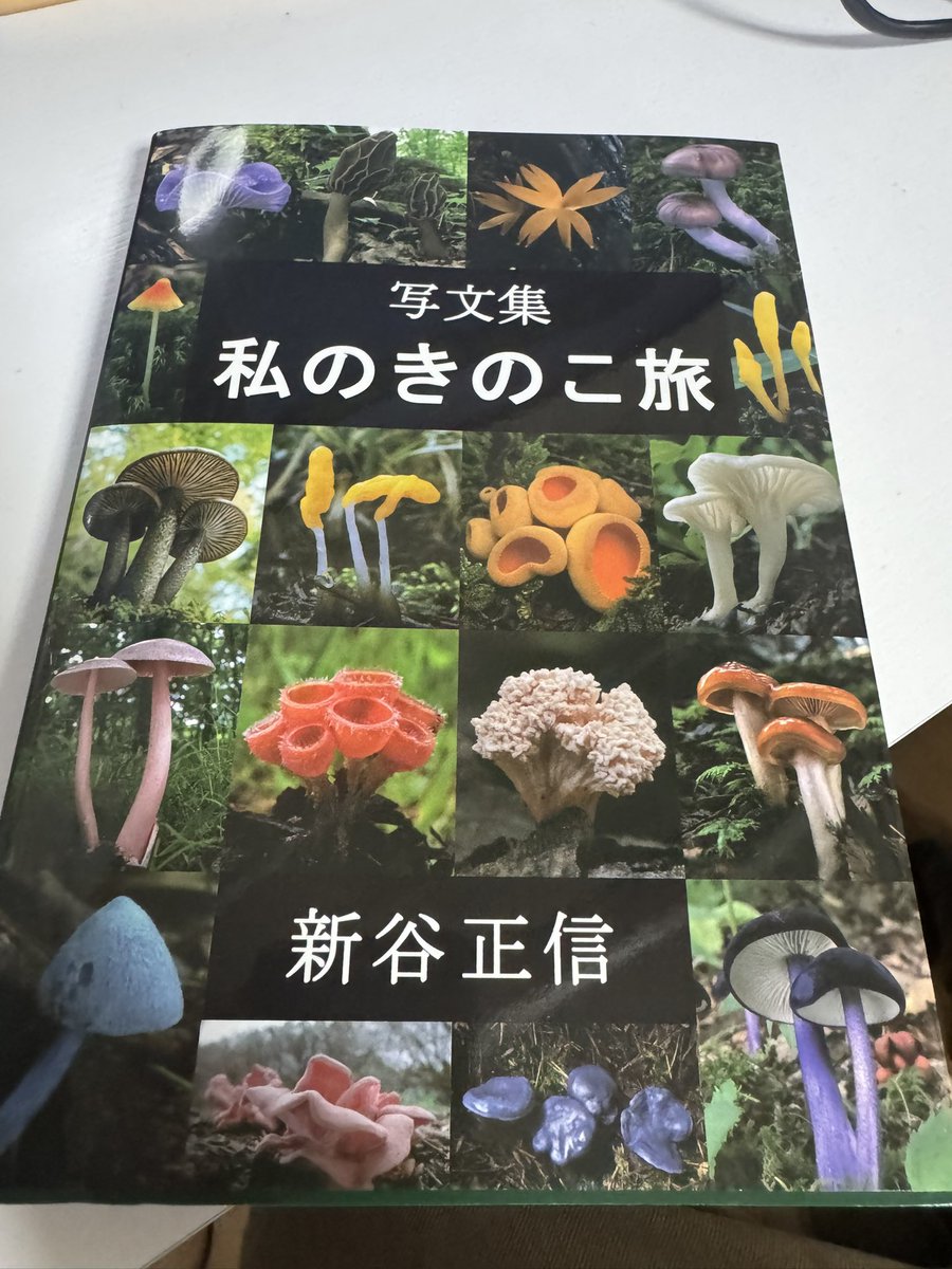 きのこの写真集として良き。きのこ好きならとりあえず思考停止で買っと