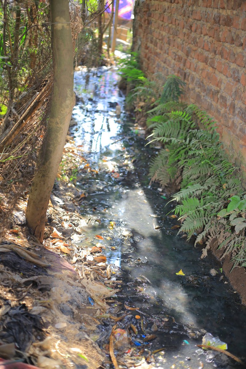 muhammad_raima's tweet photo. Community cleaning is an action on the SDGs, not just symbolism. 

By protecting shared spaces, we advance Good Health and Well-being, strengthen  Sustainable Cities and Communities, and contribute to Climate Action. 

When youth take local action, global goals become real https://t.co/x25RlPanJx