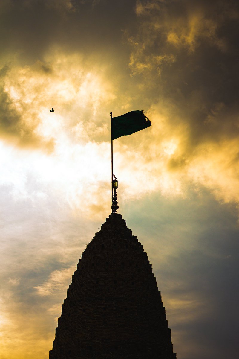 𝐀𝐋𝐈 | 𝐍𝐅𝐓 𝐏𝐇𝐎𝐓𝐎𝐆𝐑𝐀𝐏𝐇𝐄𝐑 tweet media