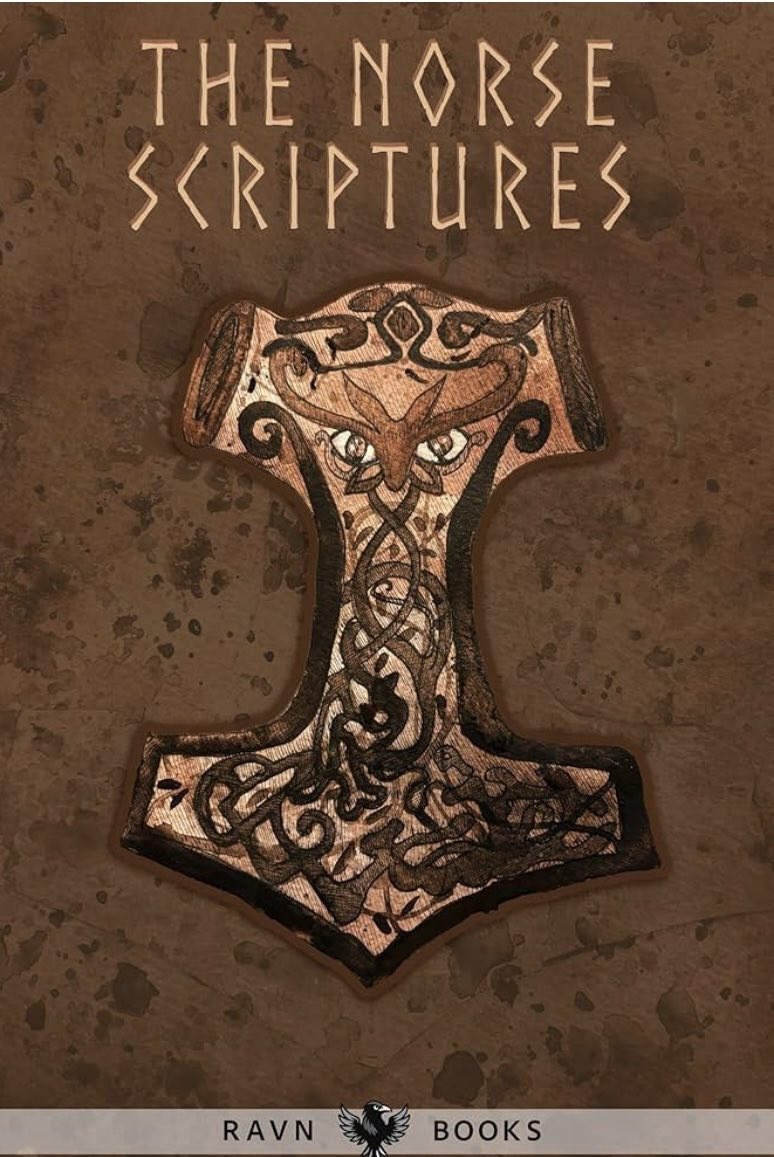 Mon9ca's tweet image. New illustration for @ravnpub