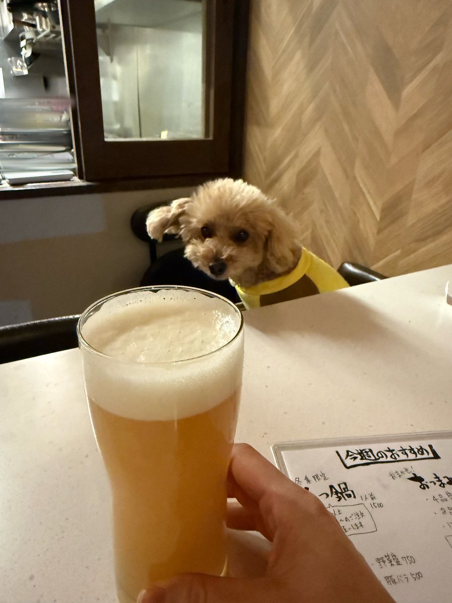 蒲田のアイドル会いに来た🍻