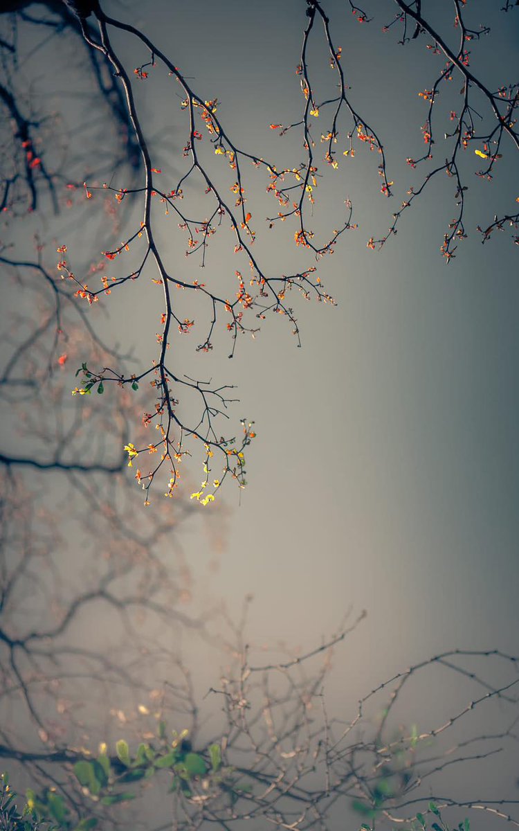 sun (@sun1358481) on Twitter photo 