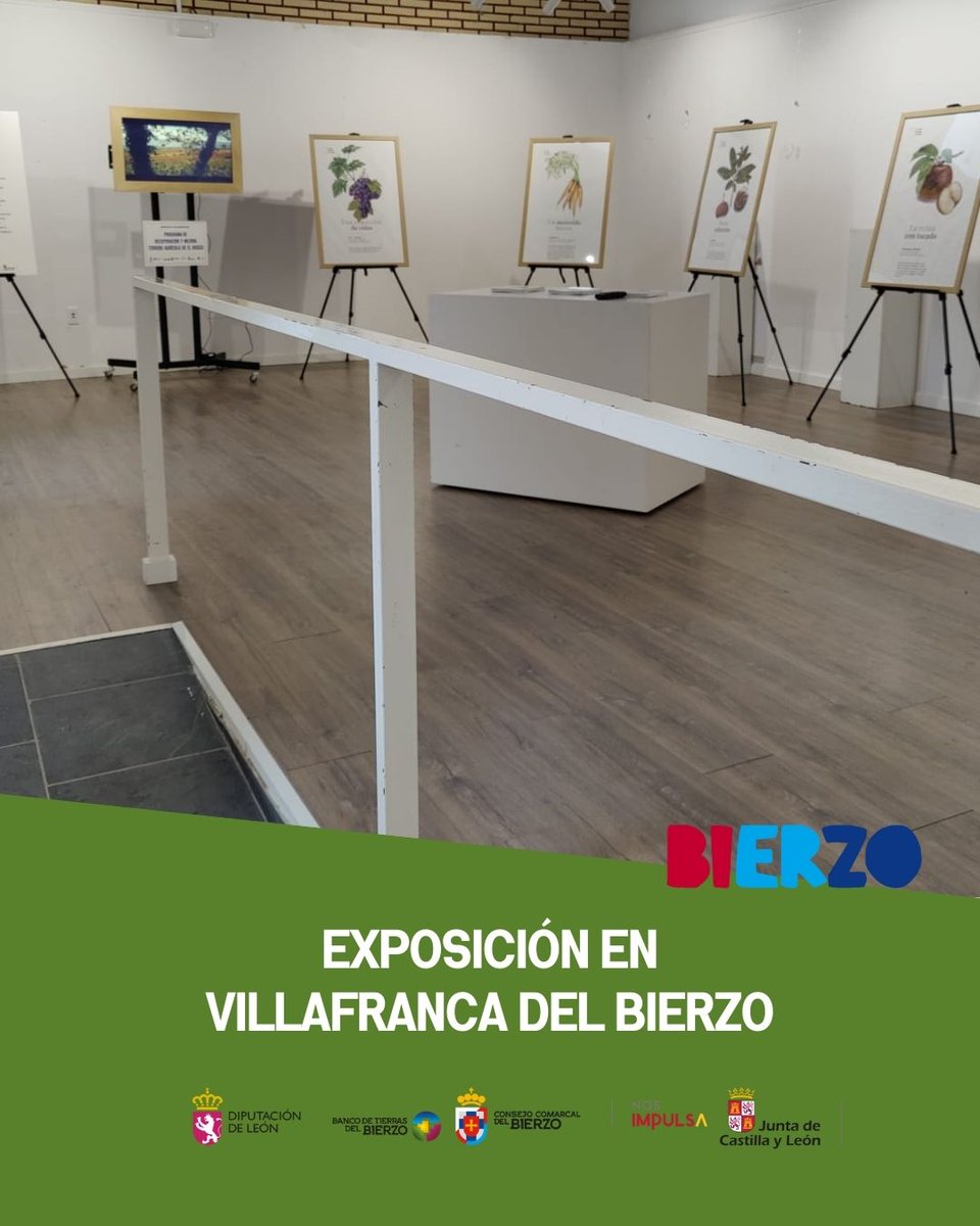 Banco de Tierras del Bierzo tweet media