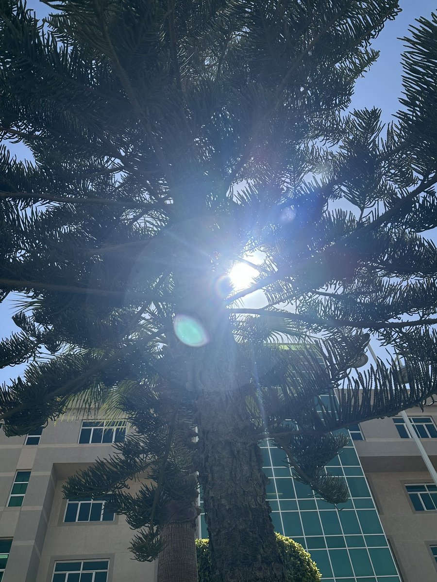 PspsO0's tweet image. 🌀🌀