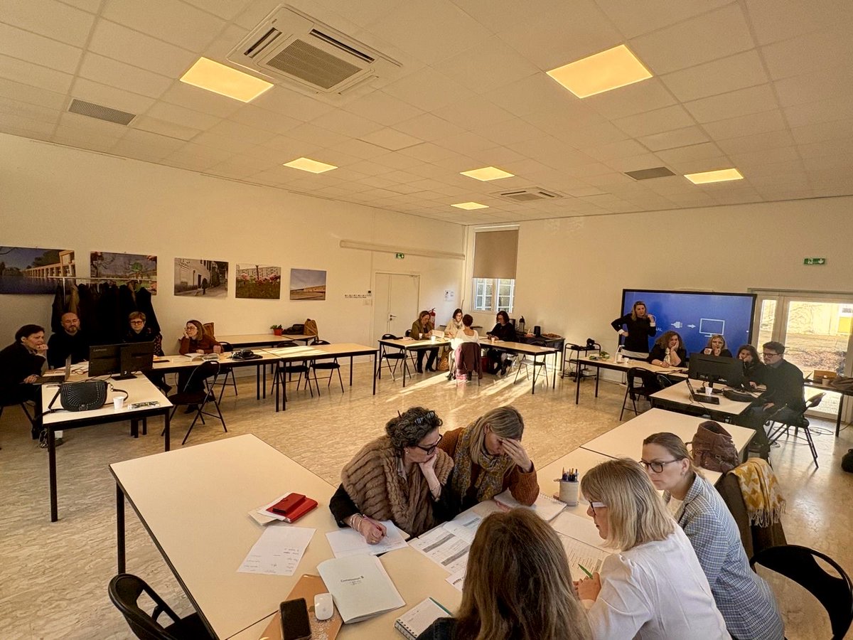 DSDEN 30 tweet media