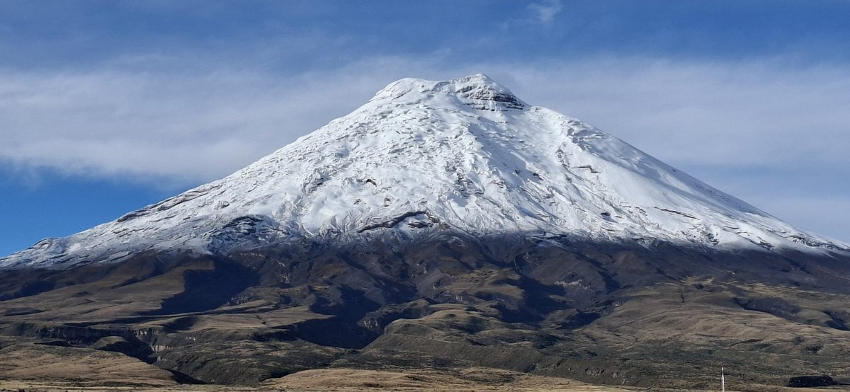 Luis Diaz tweet media