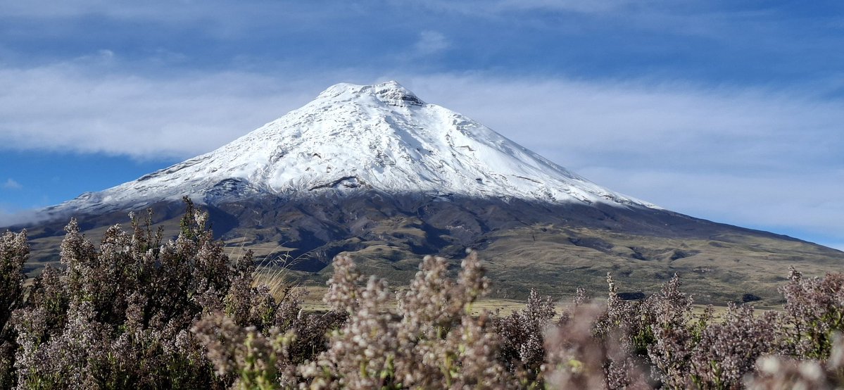 Luis Diaz tweet media