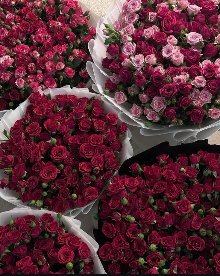 FlowersLife54's tweet image. 