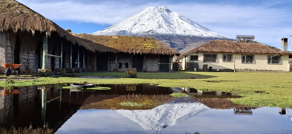 Luis Diaz tweet media