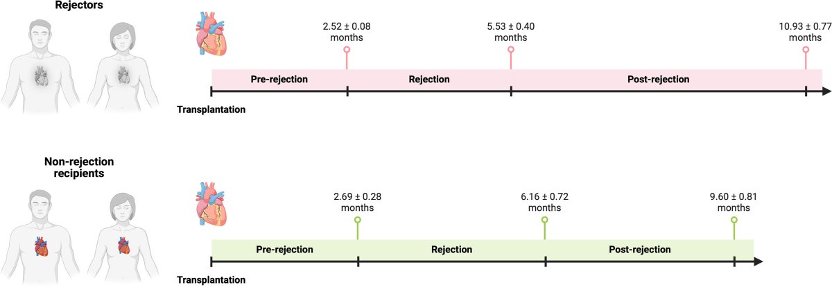 TransplantDirect tweet media