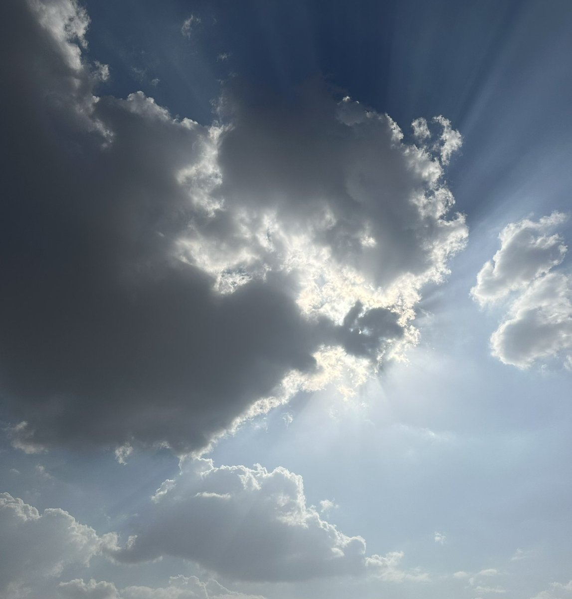 روعه tweet media