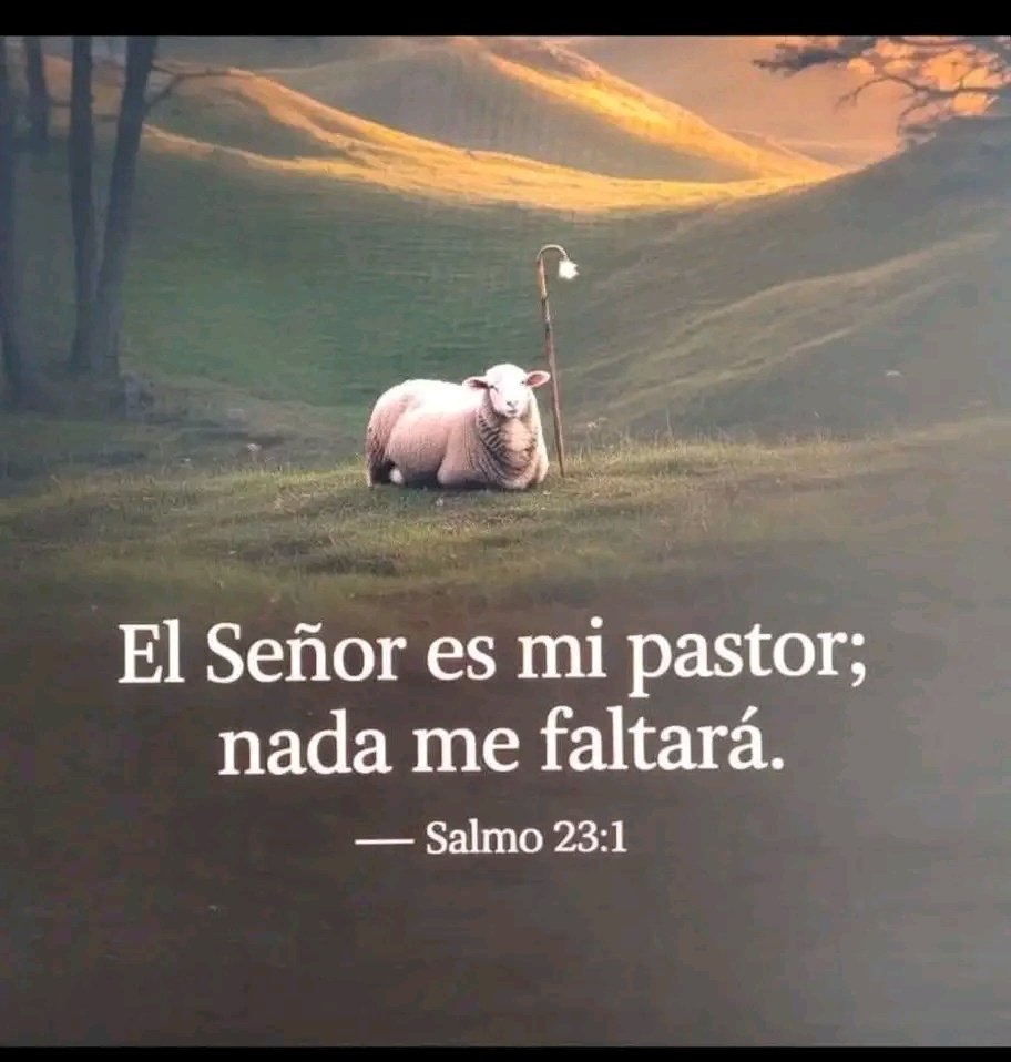 SOYCRISTIANOEVA's tweet image. Amén