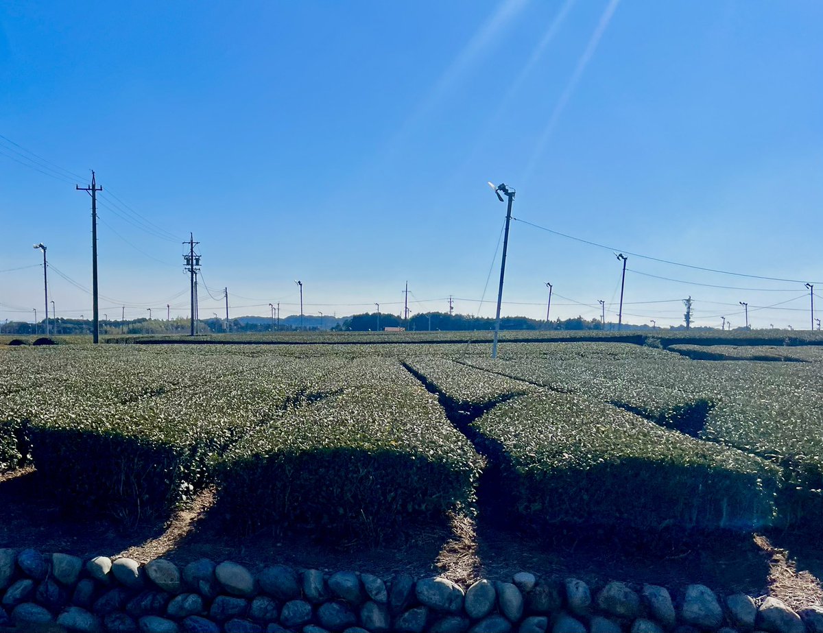 nericamp263's tweet photo. 静岡のキャンパー御用達との噂のSWENへ
菊川から行くとしばらーーく茶畑が続き大井川、富士山と静岡を堪能 https://t.co/LZEByXRb91
