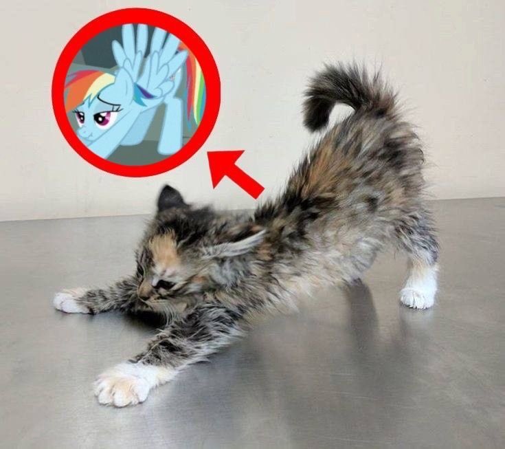 ivory ♫ tweet media