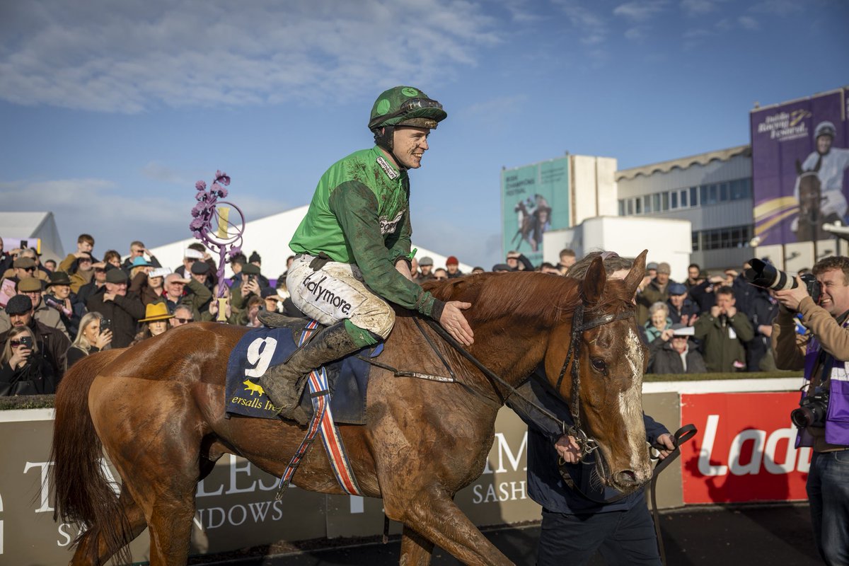 Foran Equine tweet media