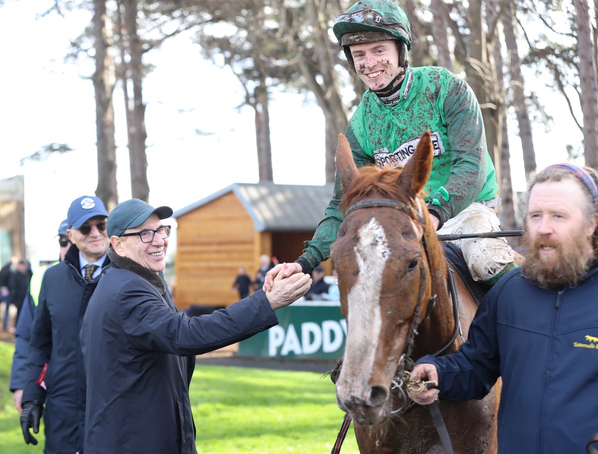 Foran Equine tweet media