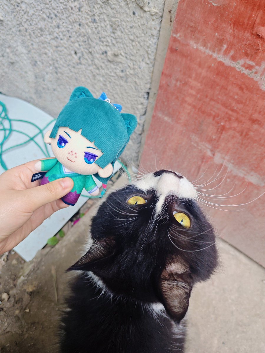 讴歌终结之物 (@yozuha15) on Twitter photo 