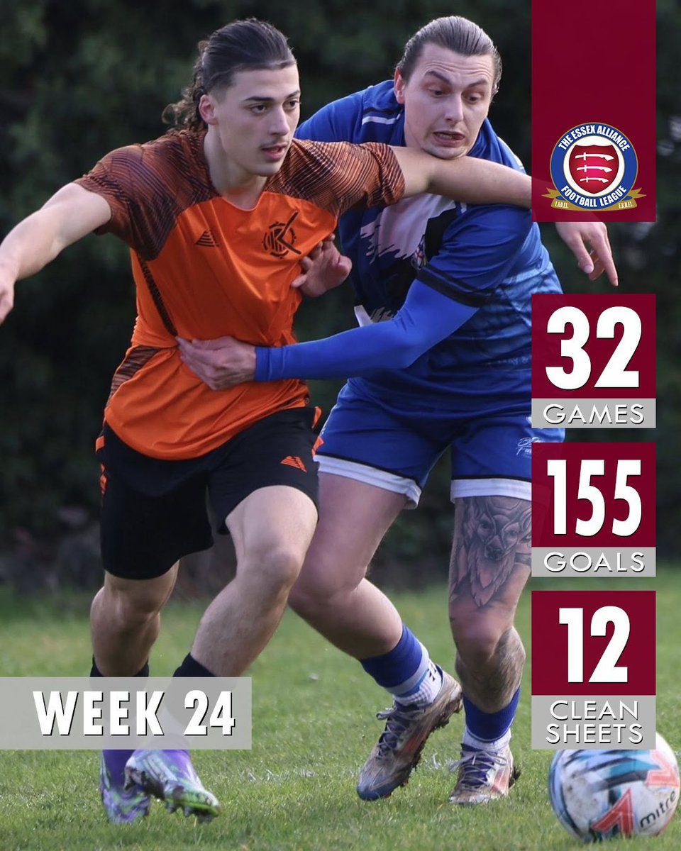 Essex Alliance FL tweet media