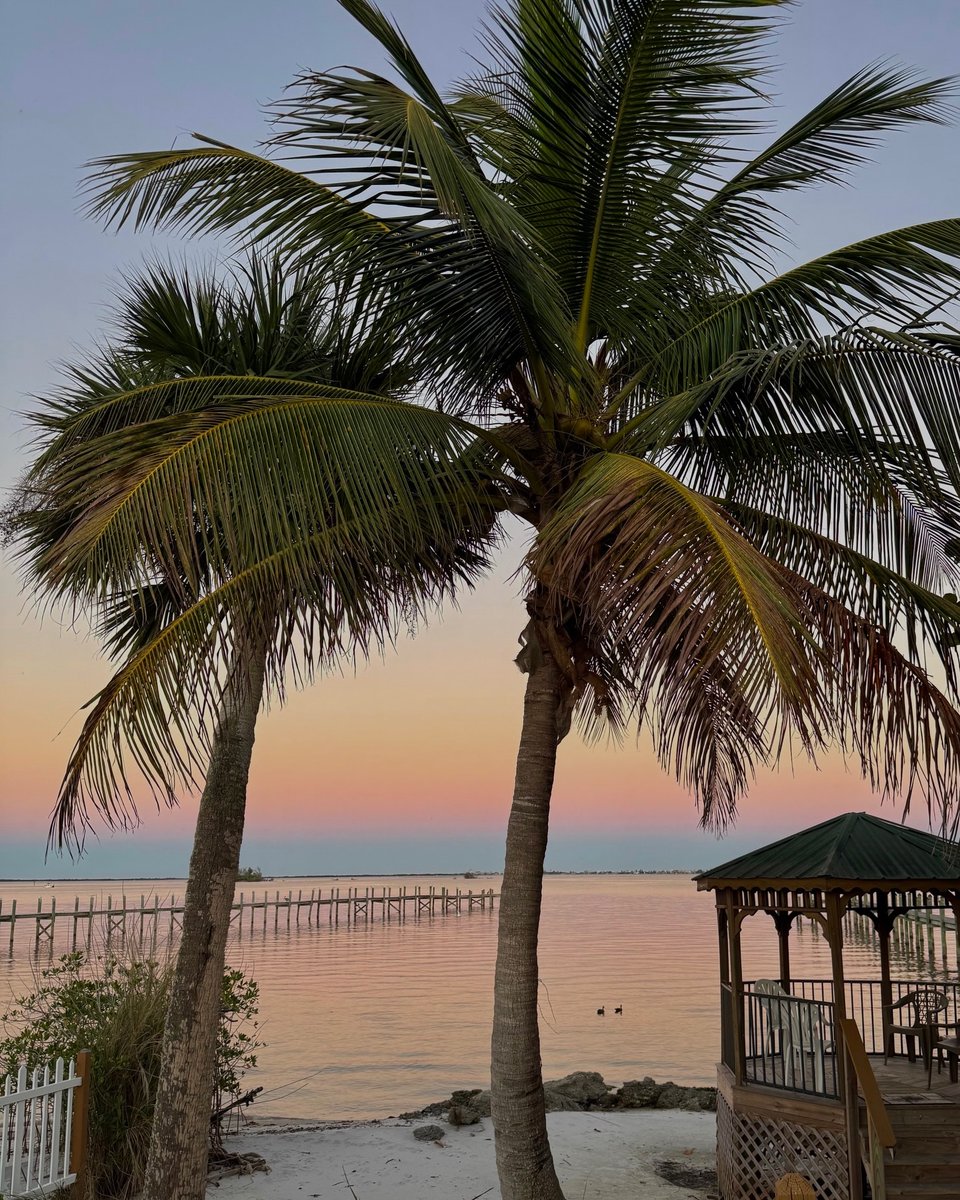 IndianRiverCVB's tweet photo. βοΈMornings like these >>
#visitindianriver #sebastianfl #sunriseoftheday
πΈ: @cityofsebastian on I.G https://t.co/BNMa5jJB1d