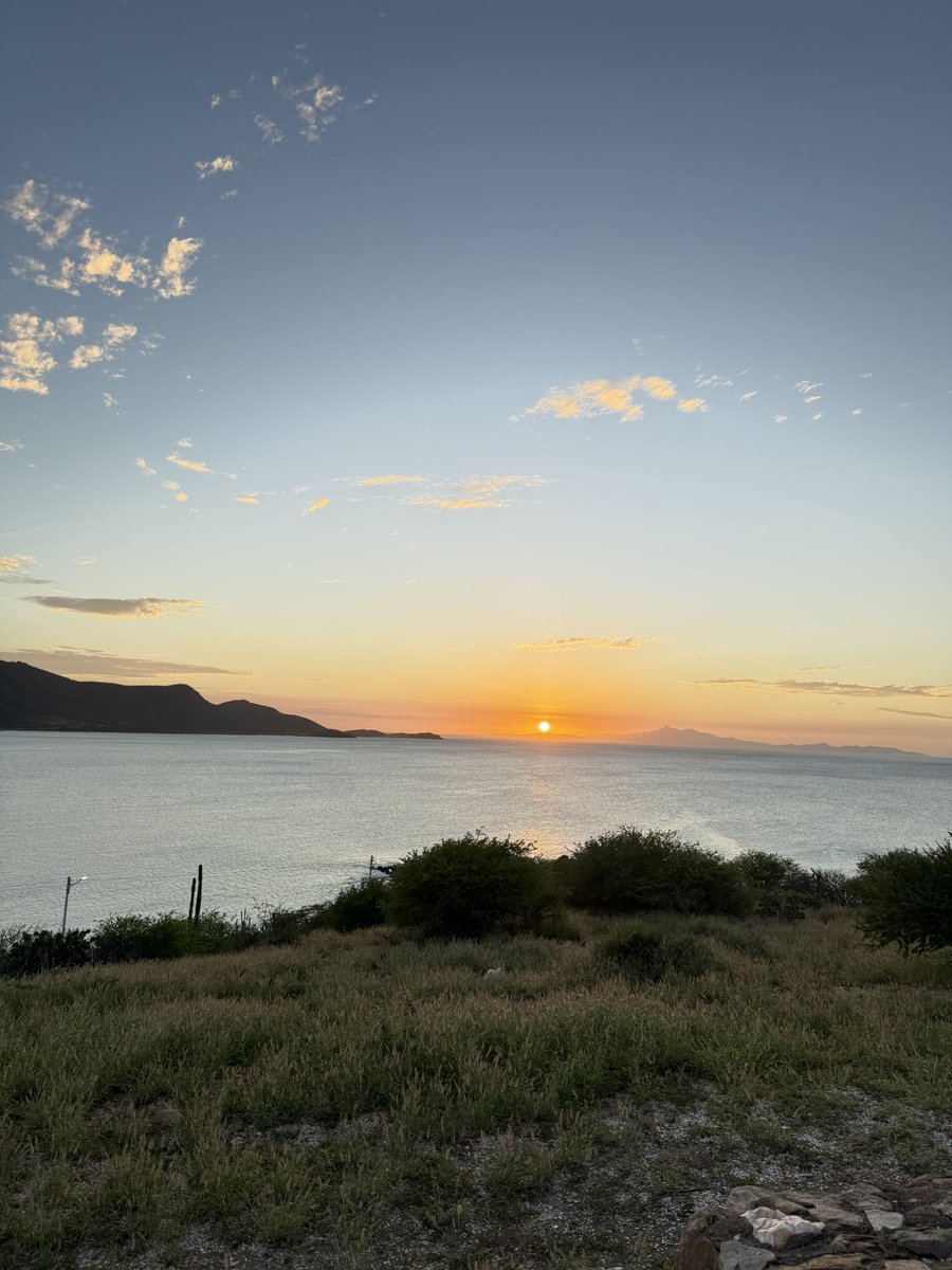 Ramón Vera O RH+ tweet media