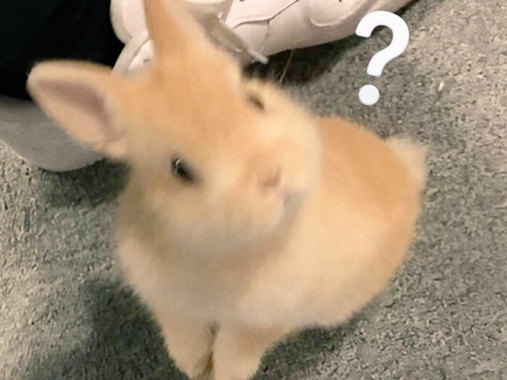 paint 🎂 2much tweet media