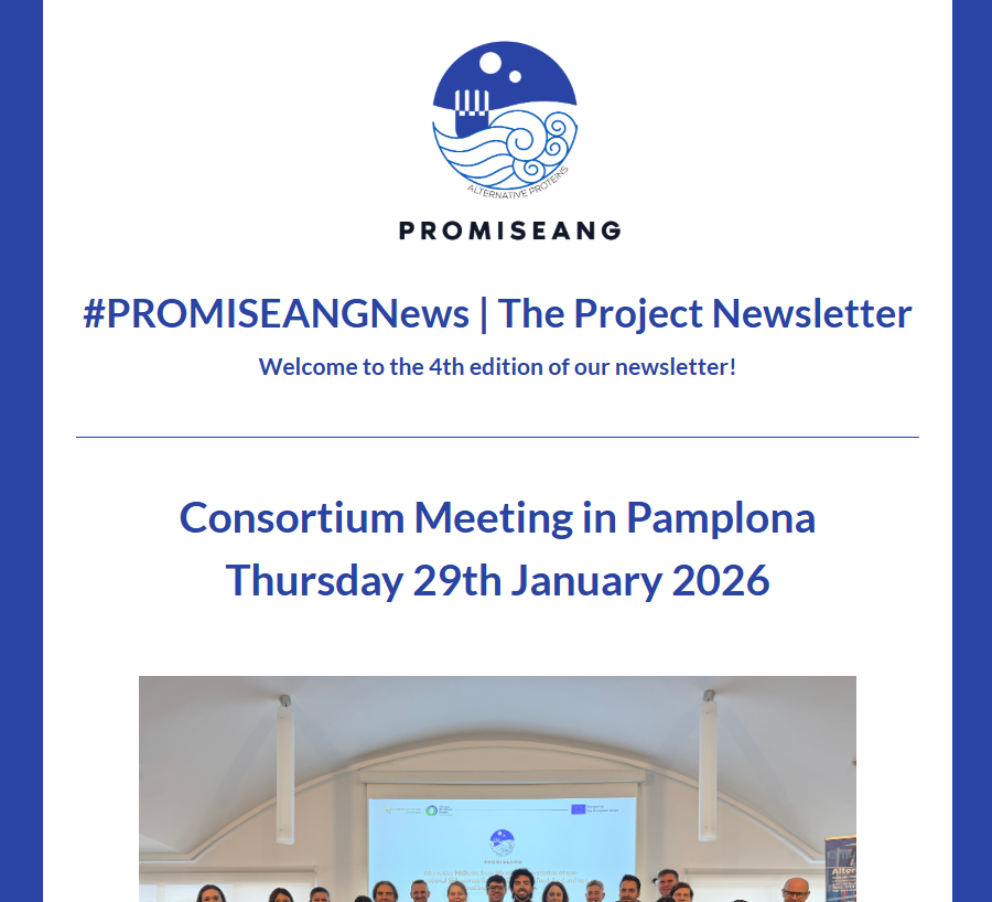 Promiseang Project tweet media
