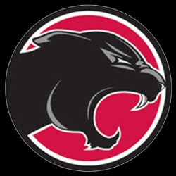 Springdale Dynamos Girls Basketball 🧡🖤⚡️🏀 tweet media