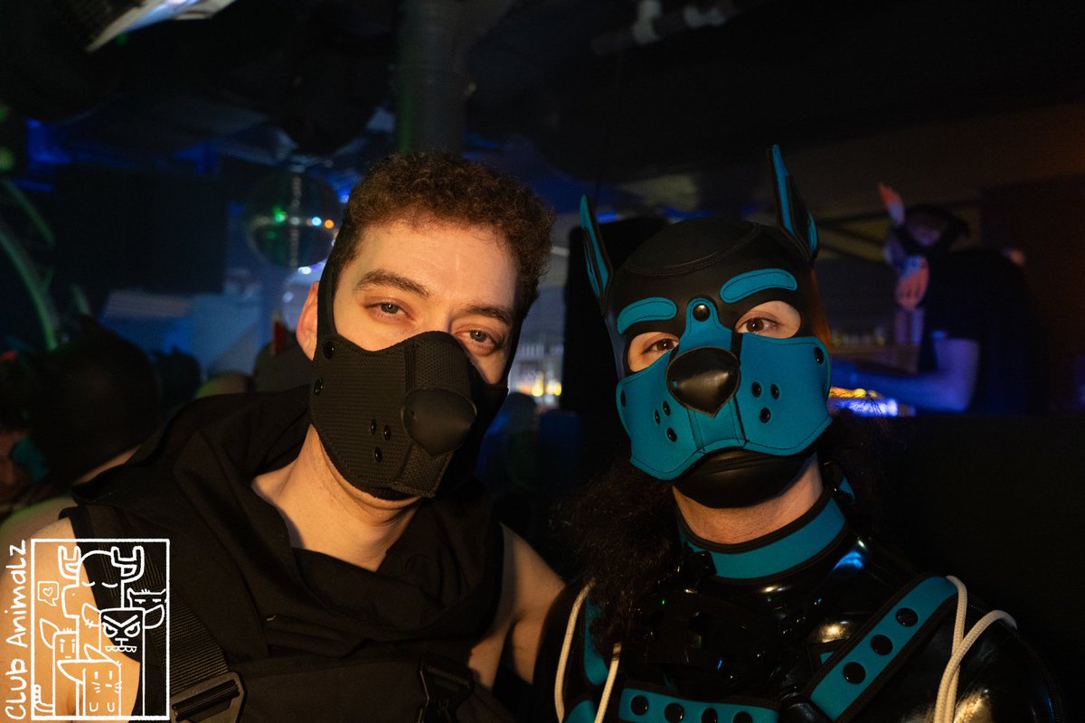 Wolfgang tweet media