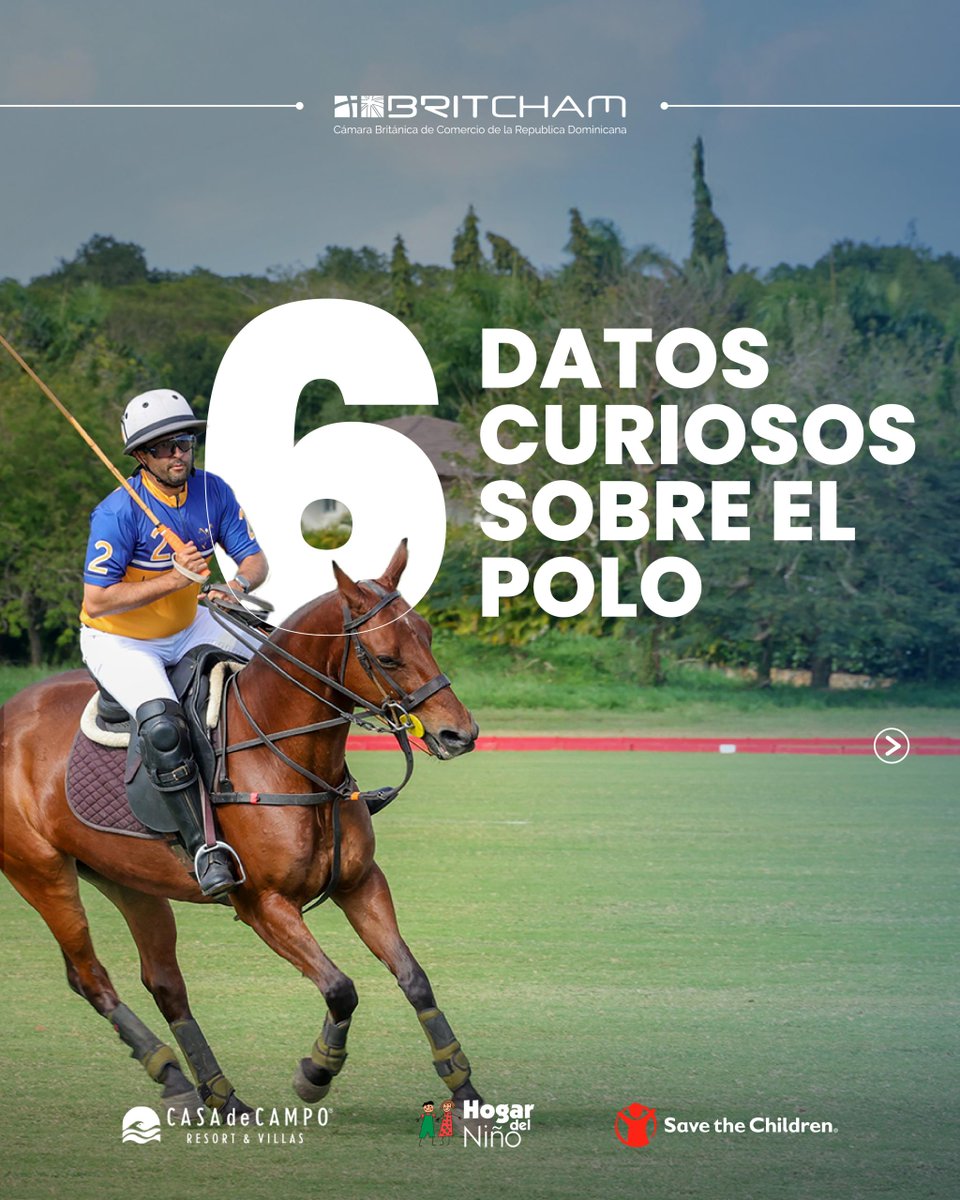 BritchamDR tweet media