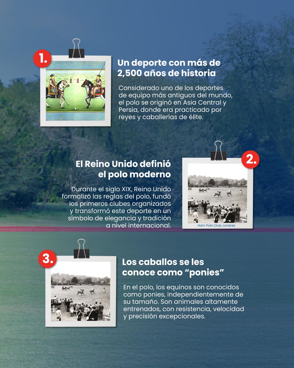 BritchamDR tweet media