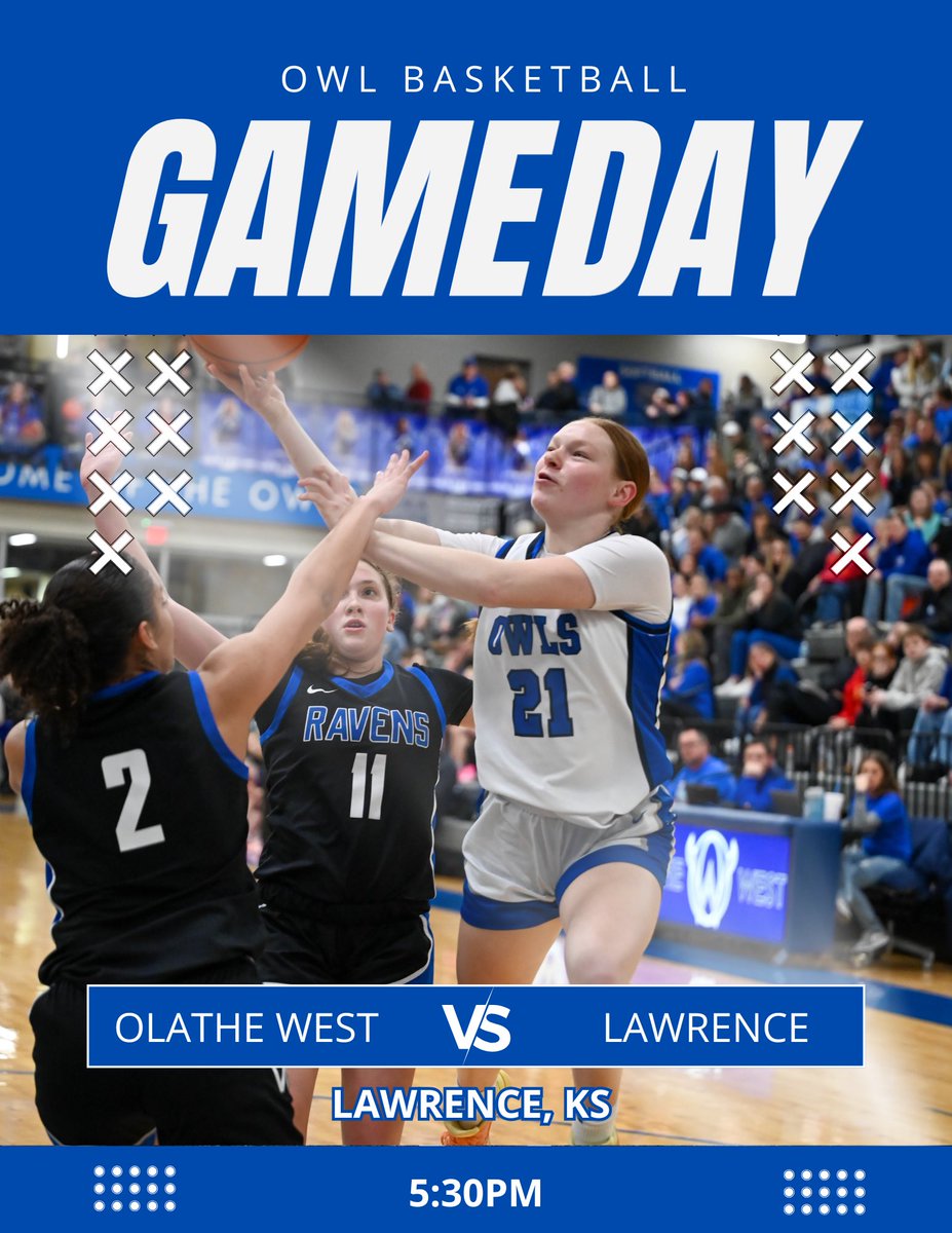 OW Owls GBB tweet media