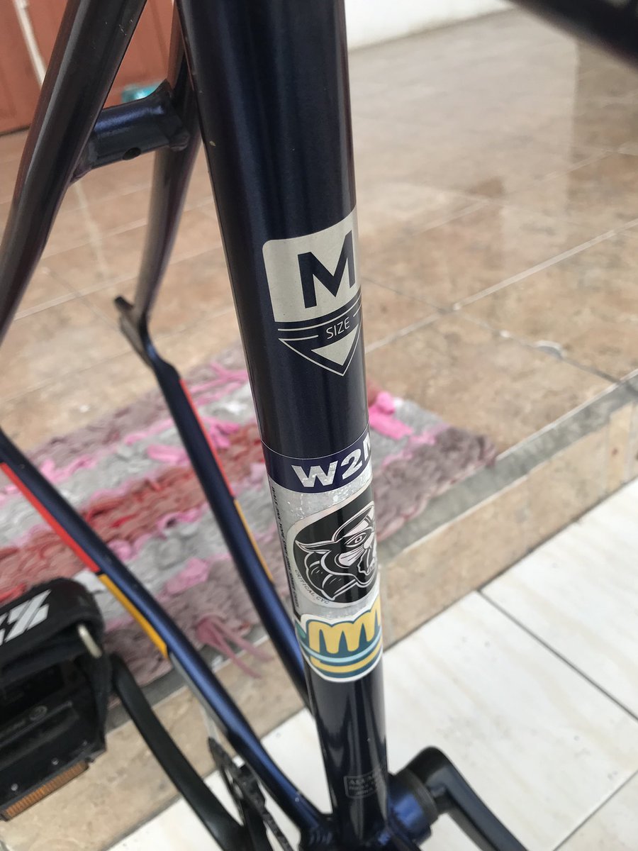 Moon studio tweet media