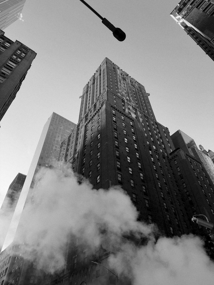 Vertical Haus tweet media