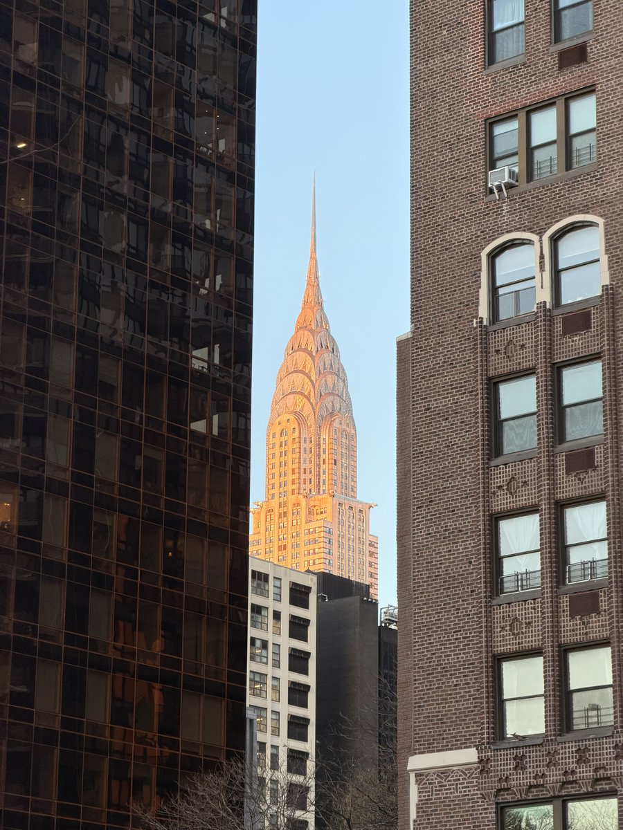 Vertical Haus tweet media