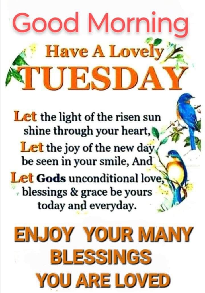 DeepDimples1977's tweet photo. Happy Tuesday Everyone https://t.co/O71kb0RraO
