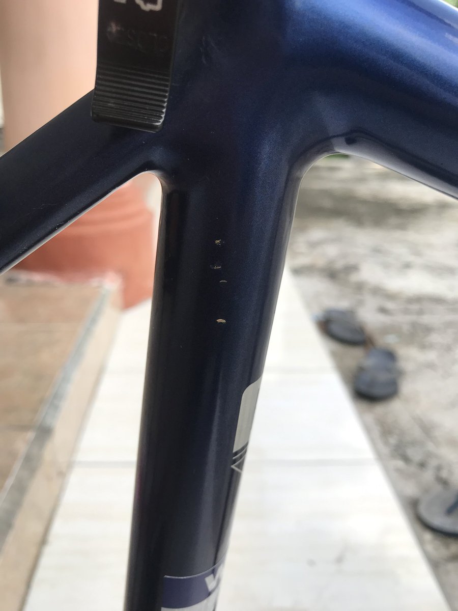 Moon studio tweet media