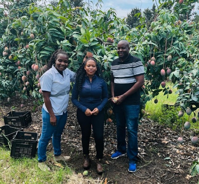 PPECB South Africa tweet media