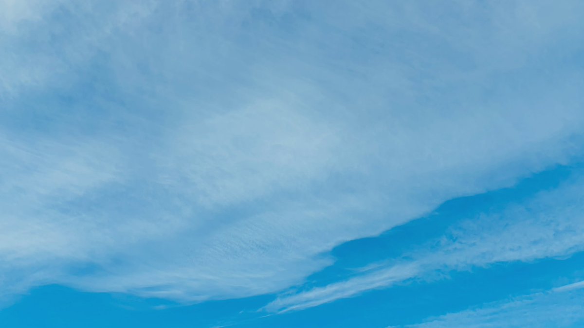 愛の反対は憎しみではなく、無関心である。
生の反対は死ではなく、無関心である。
　　　　　　　　　　エリ・ヴィーセル

仲間が教えてくれた言葉。
関心をもちつづけることが生きること。
大事にしたいのでメモ。