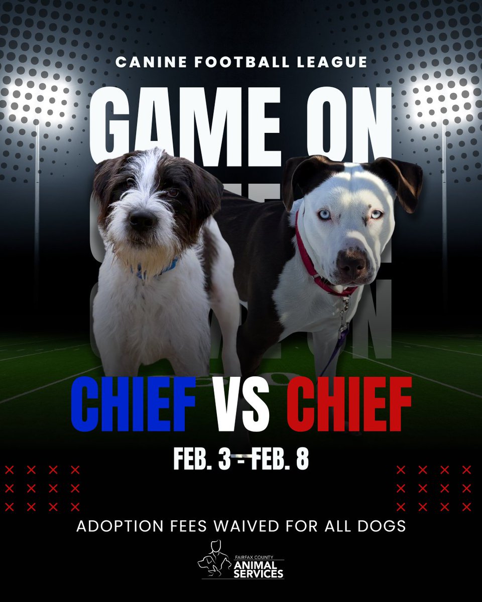 Fairfax County Animal Services tweet media