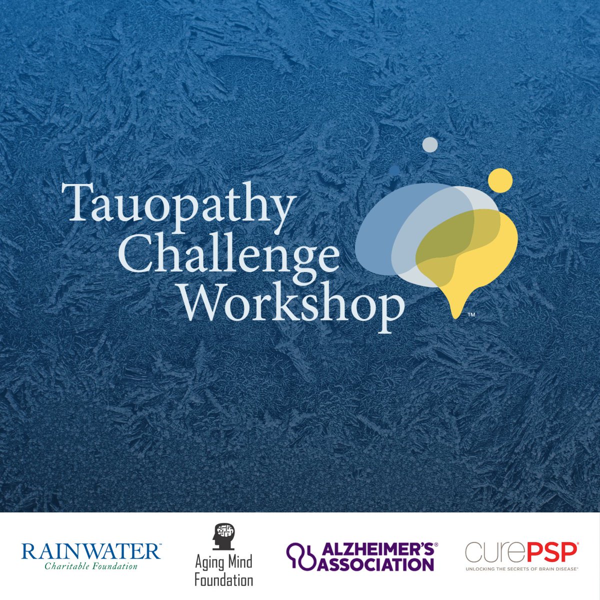 The Rainwater Charitable Foundation tweet media